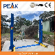 World Famous Peak Single-Release Lock Hydraulick Auto Car Lift 2 Post (209X) manufacturer