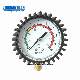  Golden Smart Dial Tire Pressure Gauge with Glow in The Dark