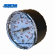  Dial Car Tire Pressure Gauge with Plastic Case Measuring Tools