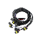  Factory Price Custom Electronic Molex Jst AMP Wire Harness Cable Assembly for Home Appliance and Automotive Automative ECU Connecting Cable