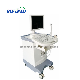  Trolly Build-in Type Black and White Ultrasound Diagnostic Scanner Bw-5plus