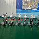 Dongtai Common Rail & Piezo Diesel Injector and Fuel Nozzle Tester S60h