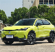  Honda Ens1 EV SUV Cheap Personal Pure Electric Luxury New Energy Electric Car Adults Vehicle