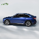 Ontime Multicolor Sedan Ec6 Series High Speed High Performance New Energy Electric Vehicle for Sale with 465km Electric Range manufacturer