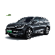 Made in China High Speed Cheap Auto Electrico New 4 Wheels Electric Car and Vehicle Automotives Tang Dm-P Electric Car manufacturer