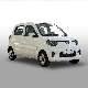  Classic Color Family Electric Vehicle with 4 Seats