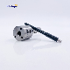  Auto Parts Truck Common Rail Fuel Injection System Pump Diesel Engine Injector Nozzle (dlla)