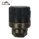  Most Advanced Dual-Core Sensor Chip with Mems TPMS Lq-Tr Series for Agv
