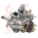 Golden Vidar Construction Machinery Engine Fuel Pump Assembly 0460426495 for Hino Isuzu Mitsubishi manufacturer