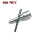  Common Rail Injector Nozzle 0433175481 Dlla145p1723+ for 0445120123 4937065 Isbe Engine