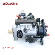  High Quality Common Rail Injection Pump 9320A296W Fuel Pump 02553dfg 3957700 for Perkins