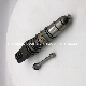  Diesel Common Rail Fuel Injector 4062568 Is Suitable for Cummins Isx15 Qsx15 X15 Engine