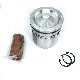  6bt5.9 Diesel Engine Aluminum Piston Kits 3966678 3970192 4089669