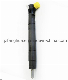  Car Parts for Fuel Injector Ejbr04601d for Ssangyong A6710170121