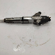 Sinotruk Engine Parts Fuel Injector Assembly Vg1034080002