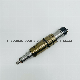  Diesel Common Rail Fuel Injector 2872161d Is Suitable for Cummins Isx/Qsx15 Engine