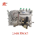 F4l912 Injection Pump 10 400 874 086 10400874086 Cpes4a80d410RS2168 Pump manufacturer