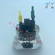 Adblue Injection Dosing Injector for 21161870 Ren. Ault Vol. Vo Trucks Denoxtronic SCR System Urea Def Valve Dosing Module manufacturer