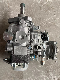  0460424274 Ve4/12f1100L942 504215215 Tb110 5.0L 79kw Vel942 Bosch Series Diesel Fuel Injection Pump for Iveco