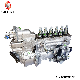 Diesel Pump 612601080379 High Pressure Oil Pump Ebhf6pH Wd618 Engine Common Rail Fuel Injection Pump