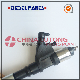  Common Rail Injector-High Pressure Common Rail Diesel Fuel Injection for Nissan