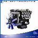 New Arrival Genuine Auto Diesel Engine for Coach Construction Machinery