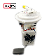  OEM T11-1106610ab Car Auto Fuel Pump Assembly for Chery Tiggo 2.0 2.4