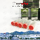 Dsla146p1055 Bos 110 Series Common-Rail Nozzle, Liwei Brand