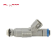 Fuel Injector OEM 0280155960 for Ford Aston Martin manufacturer