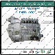Sinotruk HOWO Truck Parts Fuel Injection Pump 612600081235 Fuel Injection Pump