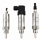  Economical and Practical IP65 Stainless Steel Anti-Vibration PT100 Integrative Water Gas Temperature Transmitter Sensor