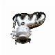 High Standard Three-Way Catalytic Converter Exhaust Manifold for Cheetah CS9 manufacturer