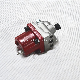  12V Shut off Solenoid Valve Fuel Injection Pump 3018453/4924808 Nta855 N14 Kta19 Kta38 Diesel Engine Parts