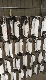 Factory Price for Mufflers and Catalyst