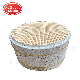  400 Cpsi 600cpsi Oval Shape Honeycomb Ceramic Catalyst for Car Catalytic Converter