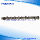  Auto Parts Cylinder Camshaft for Benz Om352 3520307802 3520305802 3520307002 3520308002 Om314/Om355/Om366/Om401/Om402/Om422/Om601/Om603/Om355/Om102 1020505501