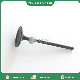  High Quality Qsk19 Diesel Engine Spare Parts Intake Valve 4016438