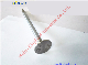  Diesel Engine Auto Parts Caterpillar/Cat C9 Exhaust Valve Ex Outake 241-8383 2418383