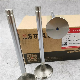 6CT Diesel Engine Parts Exhaust Valve 3921444