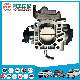  Car Throttle Assembly for Changan m401