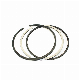  Isle 6L Diesel Engine Parts Piston Ring 3921919 3964073 C3948412 for Cummins
