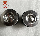  Diesel Engine Parts Piston for Deutz Engine