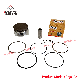 Bajaj Motorcycle Parts Piston Kit Auto Rickshaw Taxi Parts