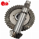  Customized Gear for Reducer/ Oil Drilling Rig/ Construction Machinery/ Truck/ Agricultural Machinery