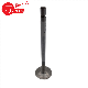 9060500326/Om902 Intake Valve for Mercedes Benz manufacturer