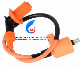  Motorcycle Part Engine Parts Ignition Coil of Diabolo, Ws150, Ts170, Xs, GS, C90, Gy6