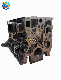  Td27 Cylinder Block OEM 11039-06j00 11039-06j01 11039-63t01 11039-63t02 for Nissan