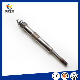 OEM Quality Engine Ignition Spare Part Double Filament Glow Plug manufacturer