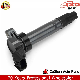  Wholesale Auto Parts Ignition Coil Smw251000 Ignition Module for Mitsubishi