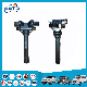  Auto Parts Car Ignition Coil-Dqg1222 for Chanastar Cm5 (OEM: 3705010E)